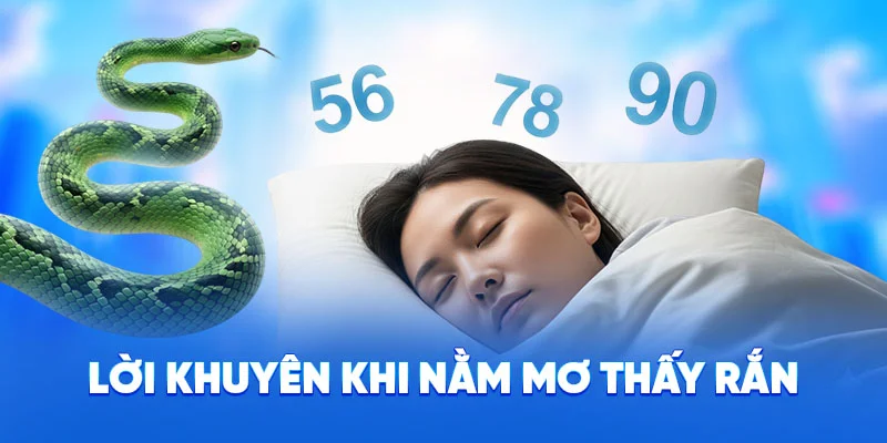 Nằm Mơ Thấy Rắn - Giải Mã Giấc Mơ Mang Thông Điệp Gì 2025 4 Lời khuyên khi nằm mơ thấy rắn